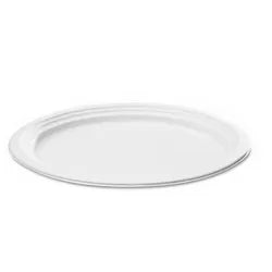 10" (25cm) Large Round Sugarcane Bagasse Plates