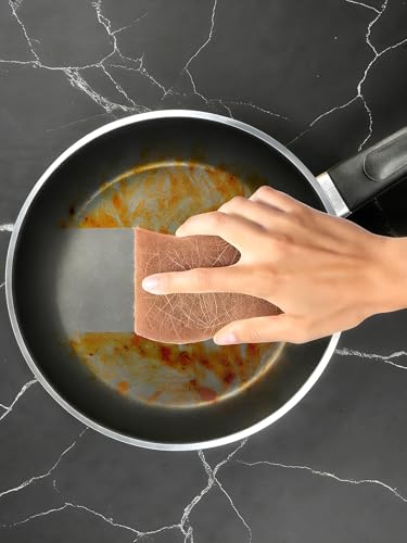 12 Pack Biodegradable Natural Kitchen Sponges