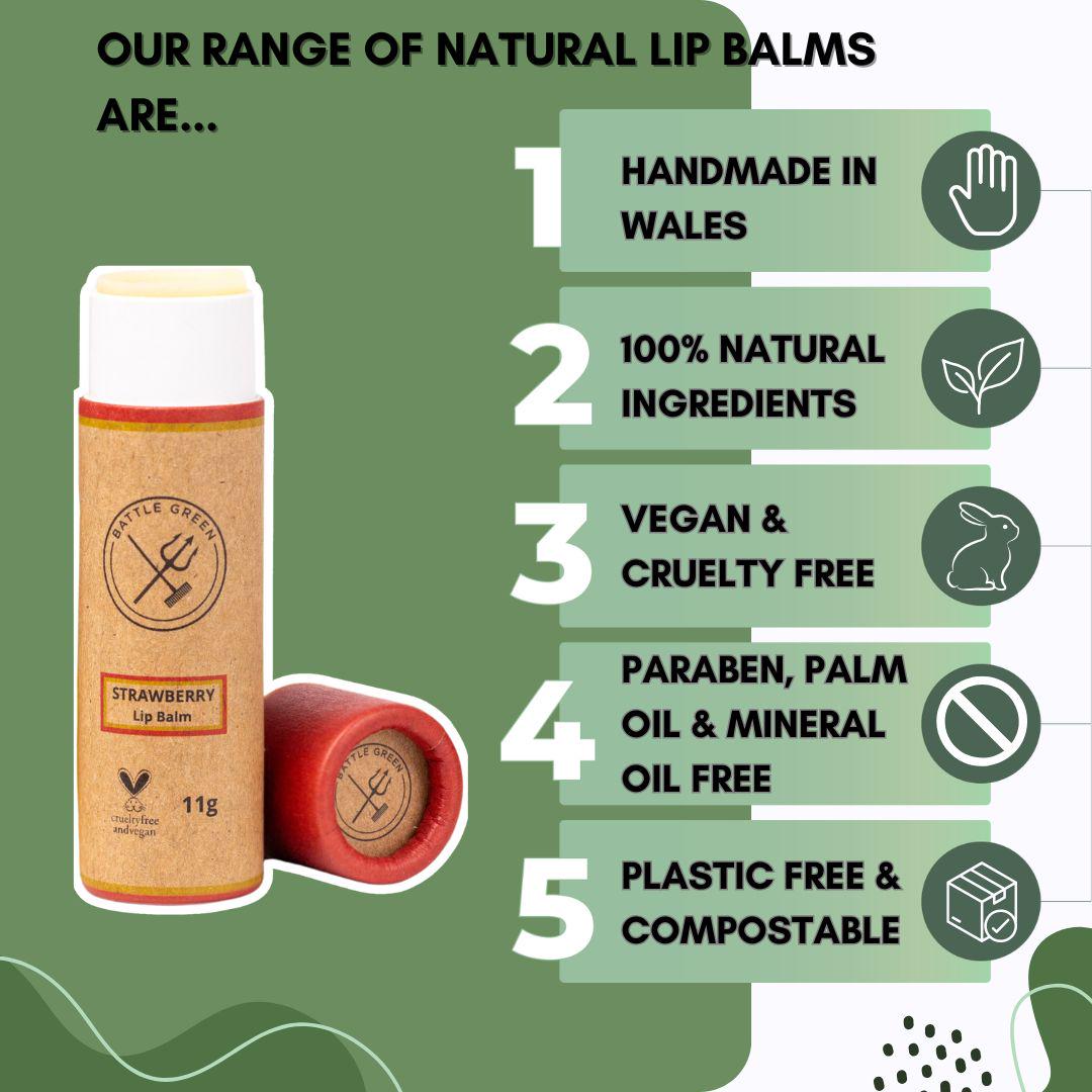 Vegan Lip Balm in Cardboard Tube – Plastic Free