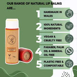 Vegan Lip Balm in Cardboard Tube – Plastic Free